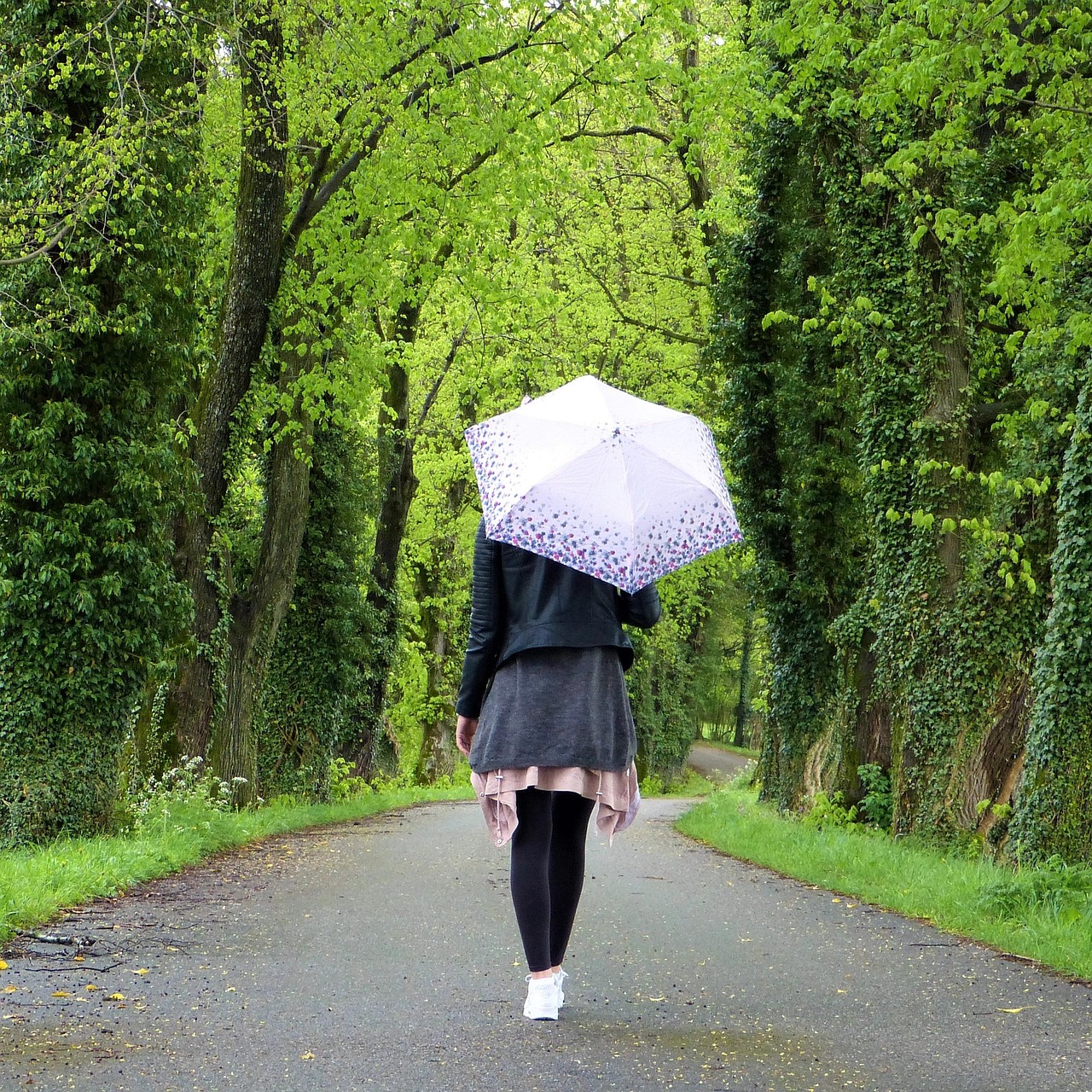 Young woman, girl, umbrella — Mengapa Scatter Menjadi Simbol Paling Dicari di Slot