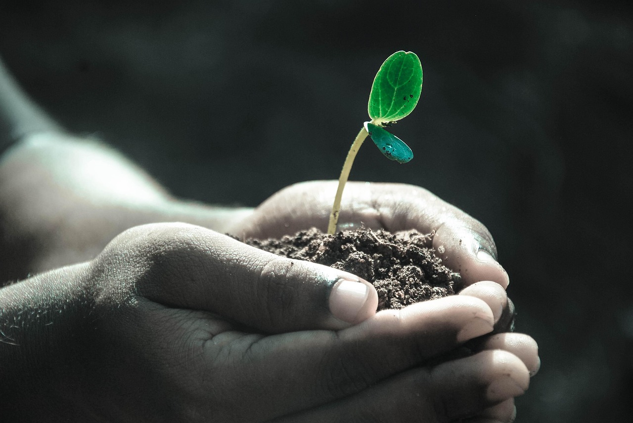 Hands, macro, plant — Selfie Captions That Add Personality to Your Posts